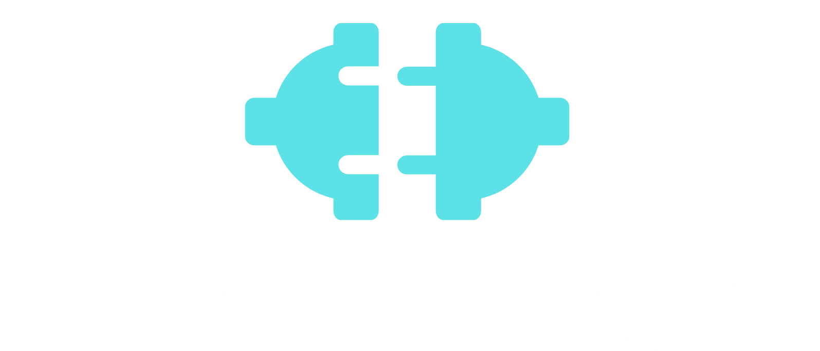 Bridge2Gadget