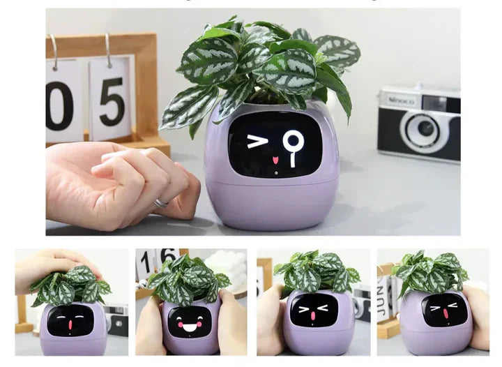 Smart AI Plant Pot Planter