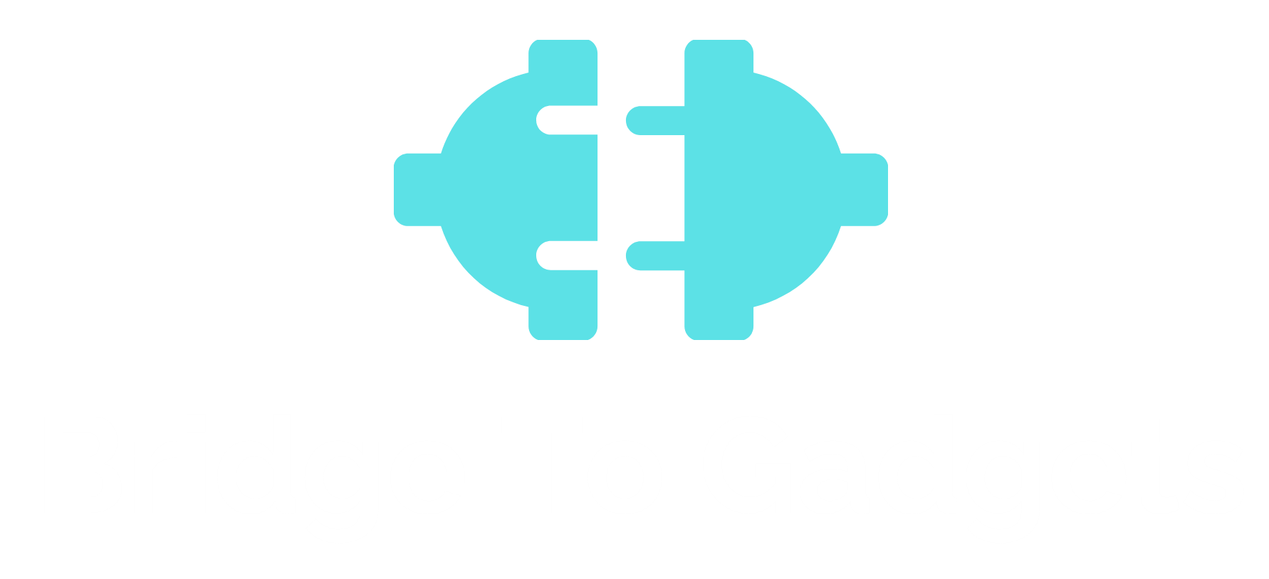 Bridge To Gadgets